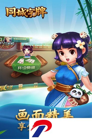 同城字牌游戏