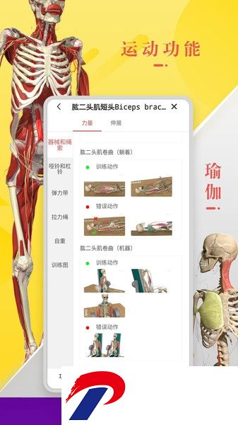 3Dbody解剖学软件