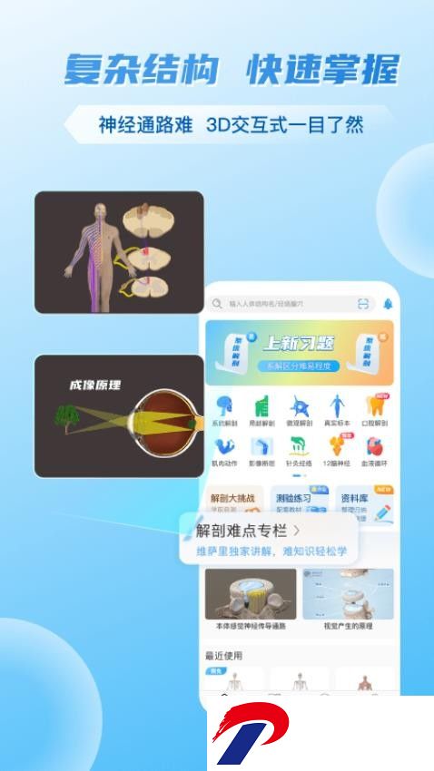 维萨里3D解剖免费版