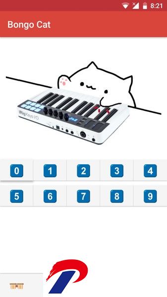 邦戈猫游戏