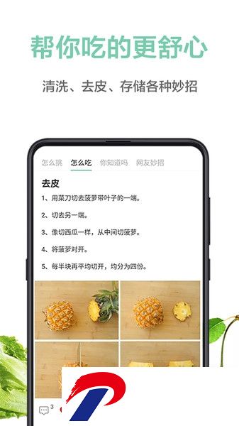 果蔬百科全说中药