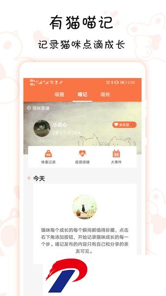 有猫app下载