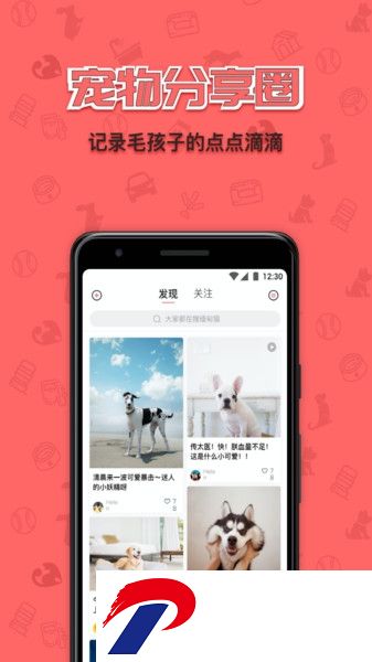 宠窝手机版下载