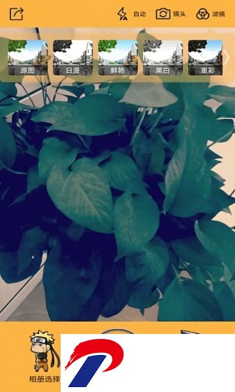 火影动漫相机app下载