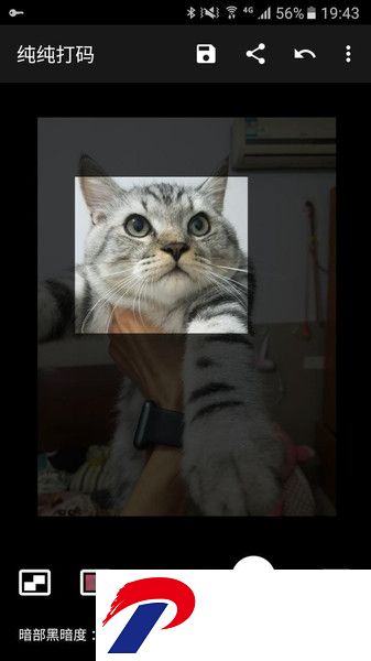 纯纯打码软件