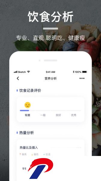 薄荷营养师下载