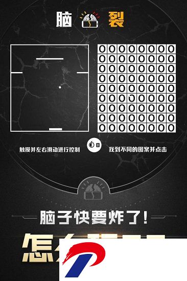 脑裂小米