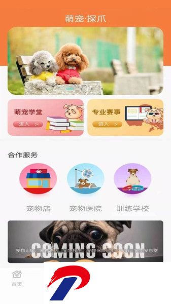探爪宠物社区