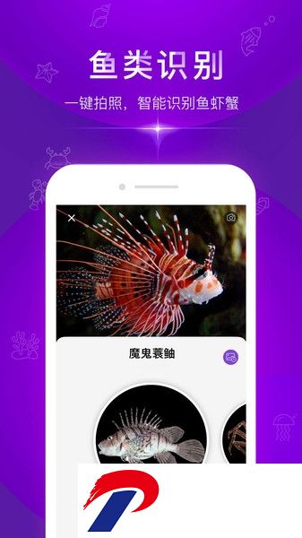 问鱼软件