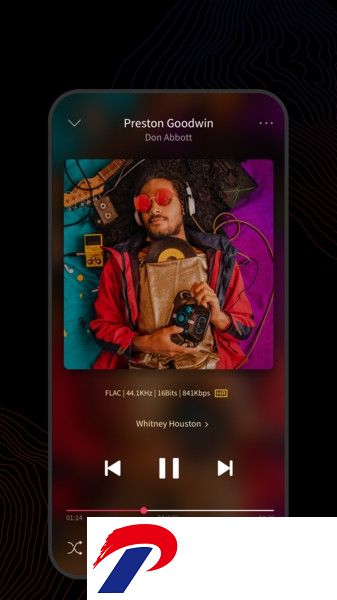 飞傲音乐播放器(FiiO Music)
