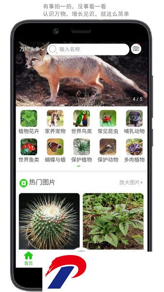 万物头条最新版下载