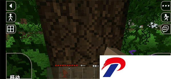 d9c5ea1c0b75f7485ce4056ffd8572b7.png