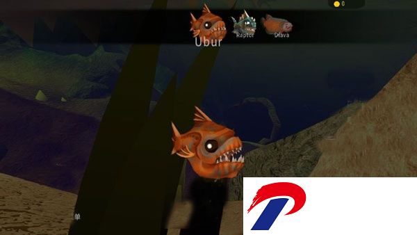 202302091743196559.jpg