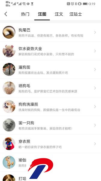 有狗客户端下载