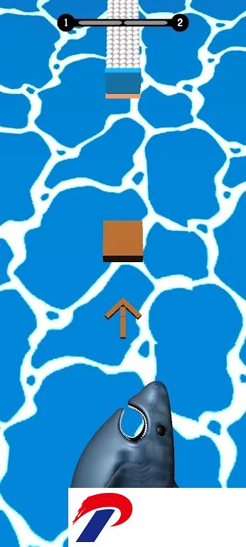 2024031248553007.jpg