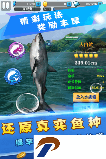 天天爱钓鱼破解版