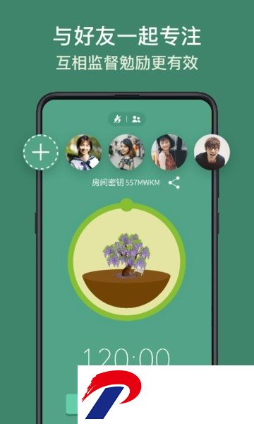 Forest专注森林专业版