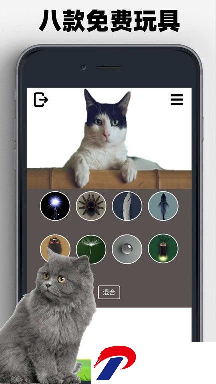 猫狗玩具模拟器游戏下载-猫狗玩具模拟器下载v1.1.1 安卓版
