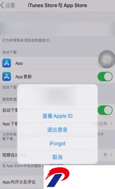 toonme苹果版