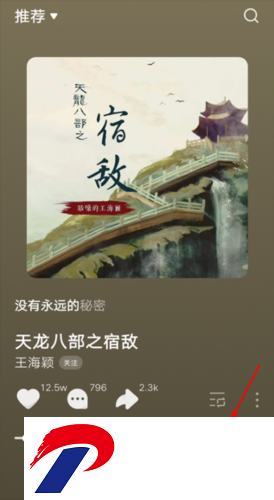 汽水音乐纯净版