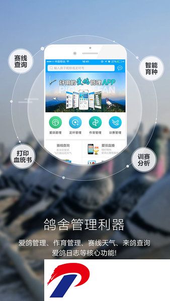 爱鸽者智能鸽舍