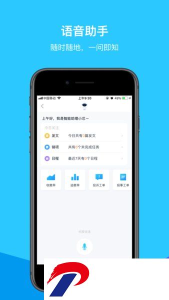 凤凰芯app下载安装