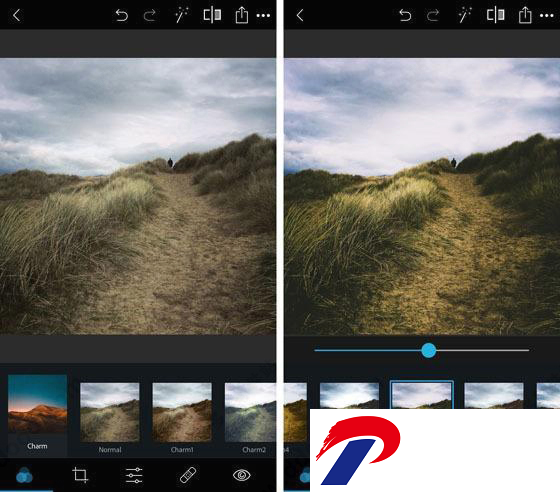 Photoshop2024最新版截图