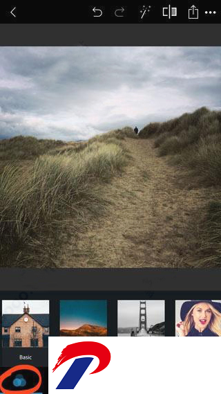 Photoshop2024最新版截图