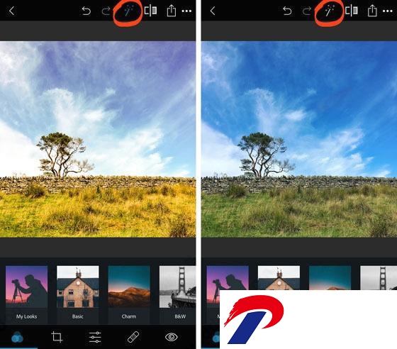 Photoshop2024最新版截图