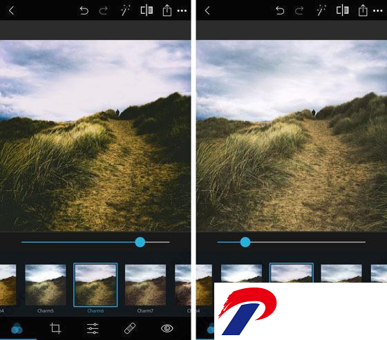 Photoshop2024最新版截图