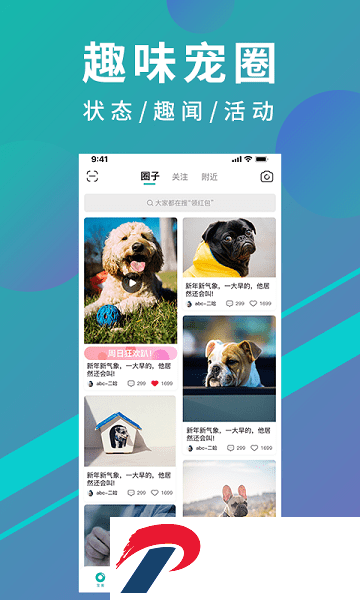 宠都软件
