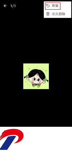 照片保险箱安卓版