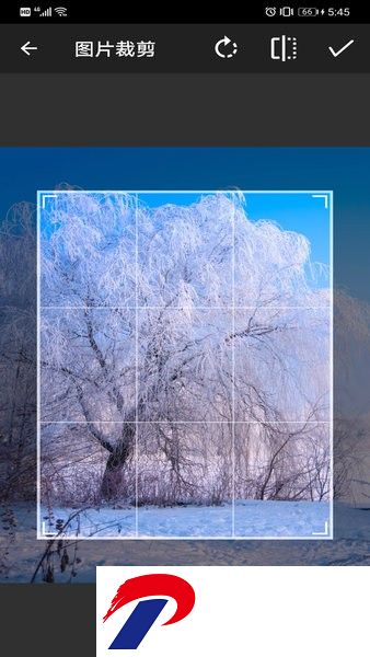 简单画笔软件下载