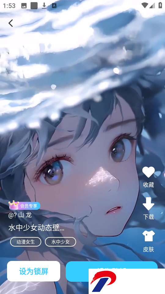 万能主题组件